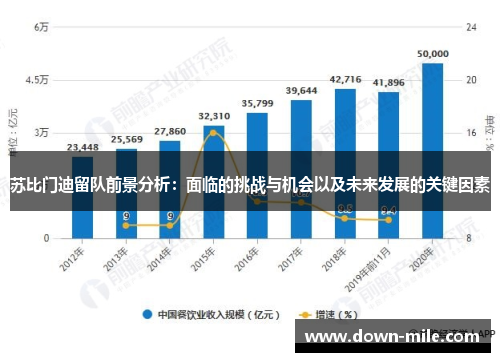 苏比门迪留队前景分析:面临的挑战与机会以及未来发展的关键因素 苏比门迪留队前景分析:面临的挑战与机会以及未来发展的关键因素