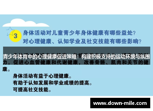 青少年体育中的心理健康促进策略：构建积极支持的运动环境与氛围