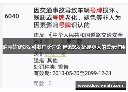 魏震禁赛处罚引发广泛讨论 是该惩罚还是更大的警示作用 魏震禁赛处罚引发广泛讨论 是该惩罚还是更大的警示作用