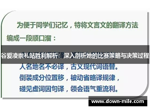 谷爱凌崇礼站胜利解析:深入剖析她的比赛策略与决策过程 谷爱凌崇礼站胜利解析:深入剖析她的比赛策略与决策过程