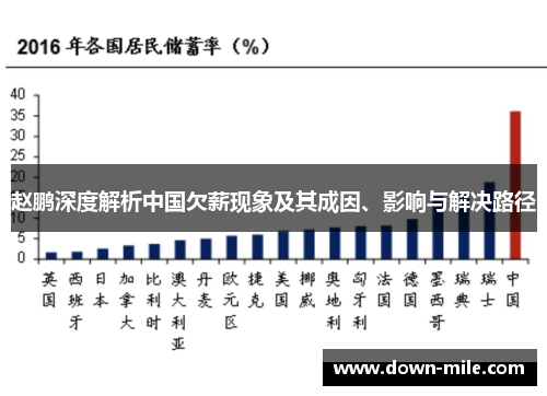 赵鹏深度解析中国欠薪现象及其成因、影响与解决路径