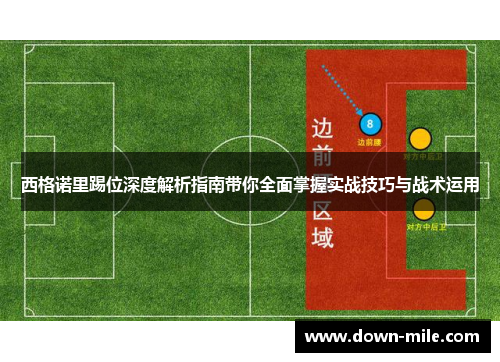 西格诺里踢位深度解析指南带你全面掌握实战技巧与战术运用