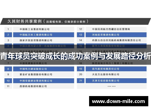 青年球员突破成长的成功案例与发展路径分析 青年球员突破成长的成功案例与发展路径分析