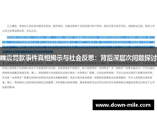 魏震罚款事件真相揭示与社会反思:背后深层次问题探讨 魏震罚款事件真相揭示与社会反思:背后深层次问题探讨